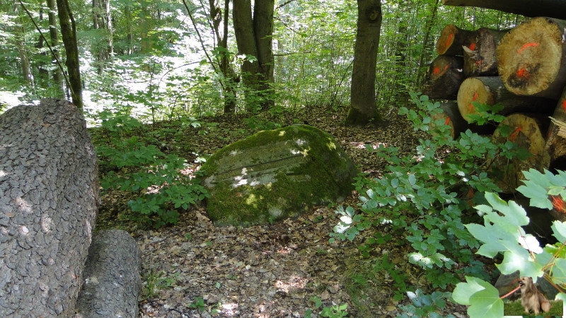 Ritterstein Nr. 270-3 Ruine Jagdhaus Schaudichnichtum.JPG - Ritterstein Nr.270 Ruine Jagdhaus Schaudichnichtum